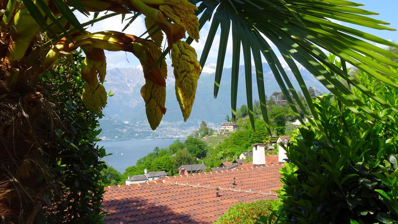 Photo of Others in San Nazzaro