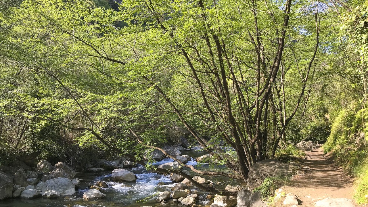 Photo of Outdoor in Le Bar-sur-Loup
