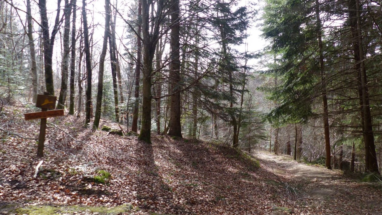 Photo of Outdoor in Apinac