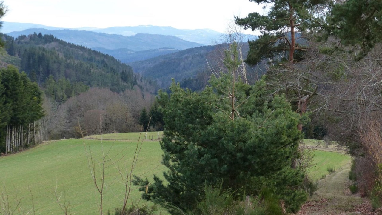 Photo of Outdoor in Apinac