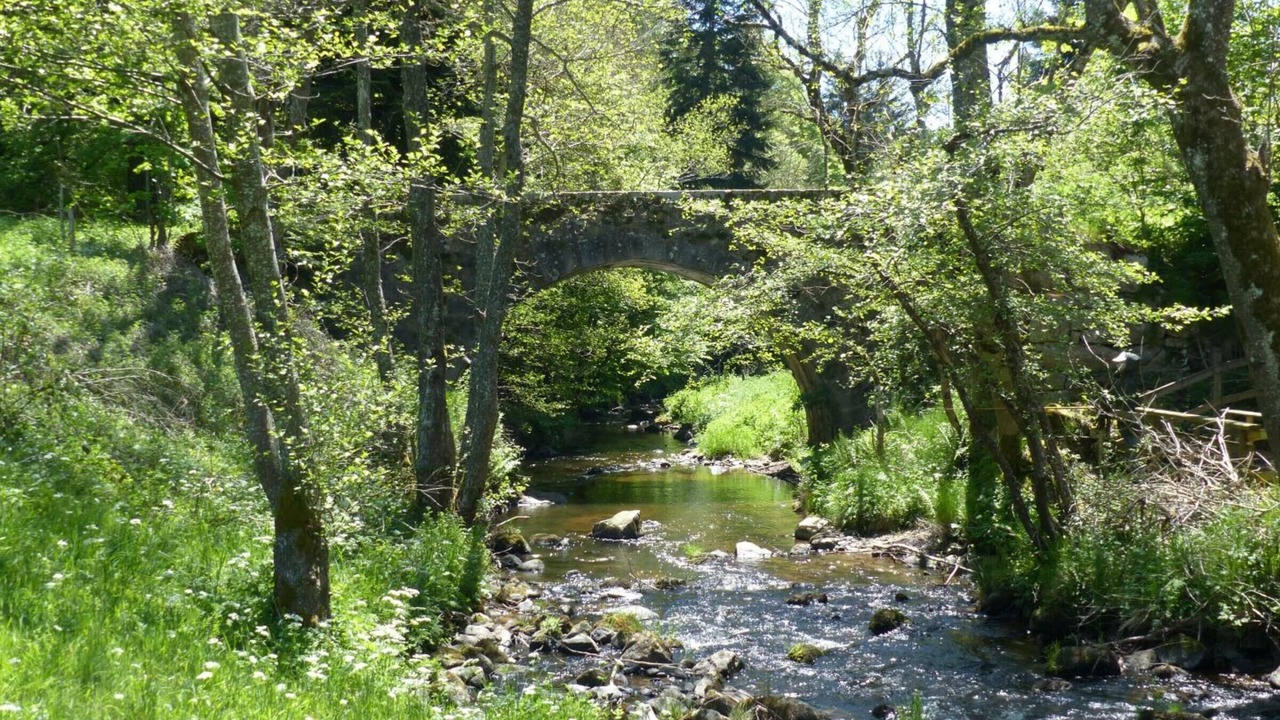 Photo of Outdoor in Apinac