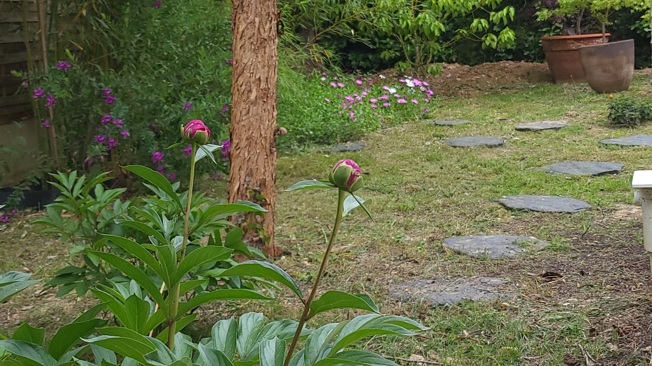 Photo of Outdoor in Les Cevennes