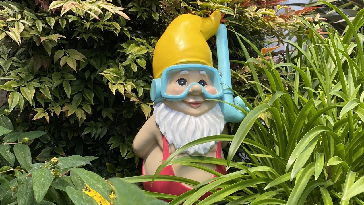 Photo of Outdoor in Sarzeau