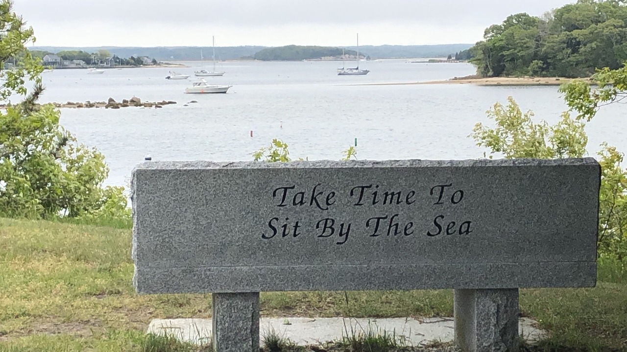 Photo of Others in Onset