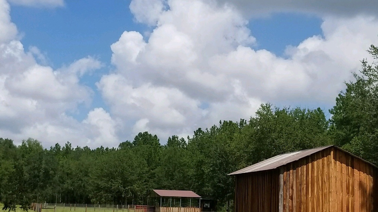Photo of Others in Boys Ranch