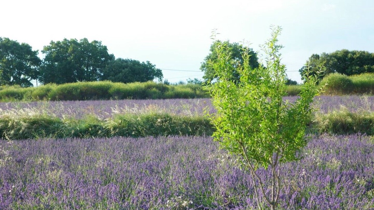 Photo of Outdoor in Bourg-Saint-Andeol