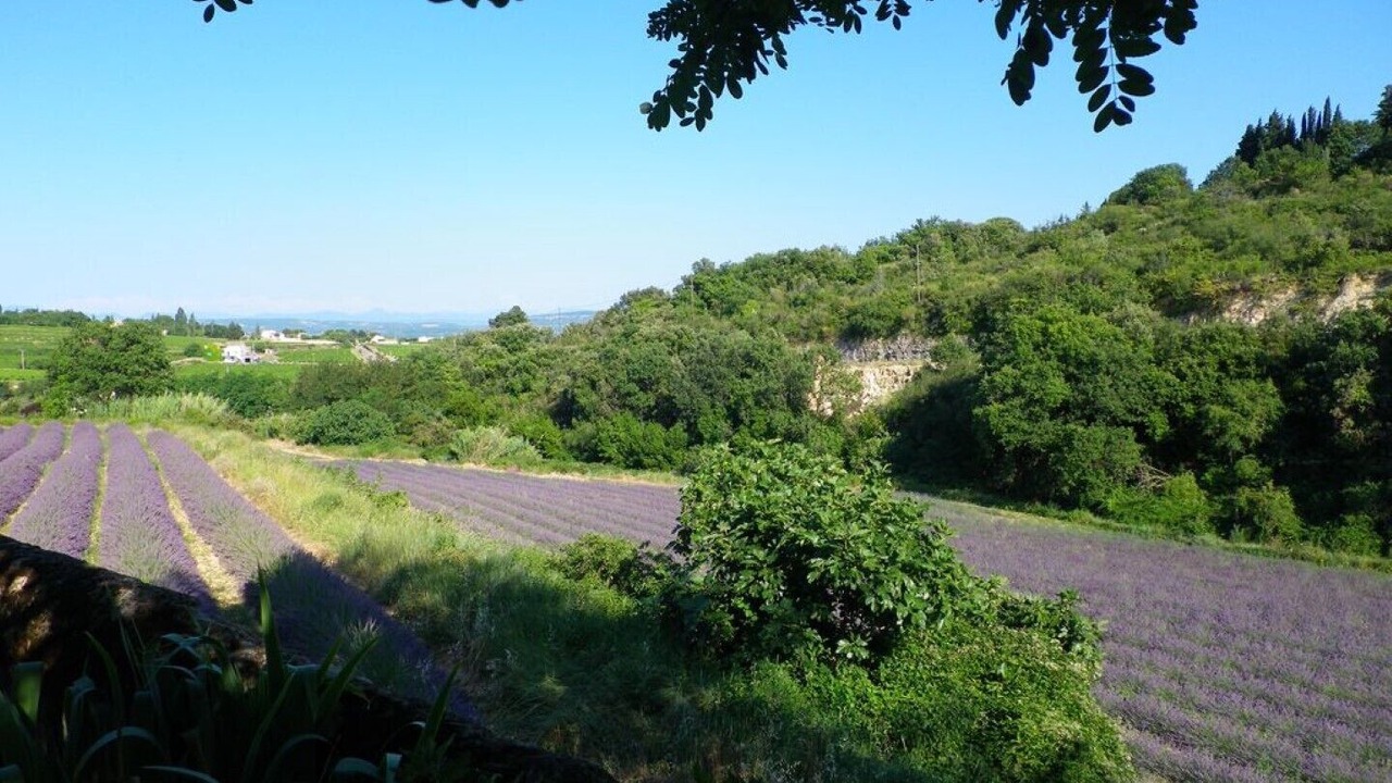 Photo of Outdoor in Bourg-Saint-Andeol