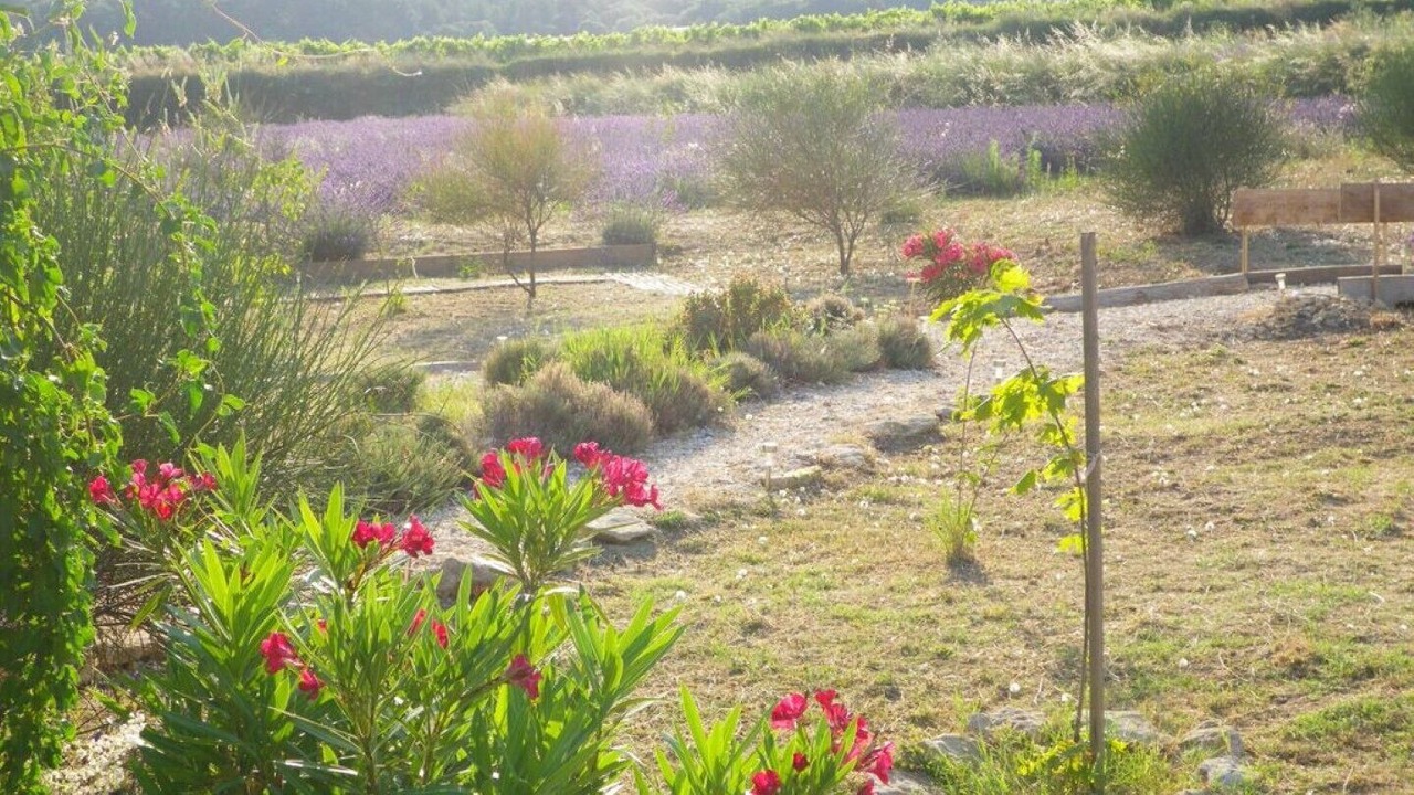 Photo of Outdoor in Bourg-Saint-Andeol