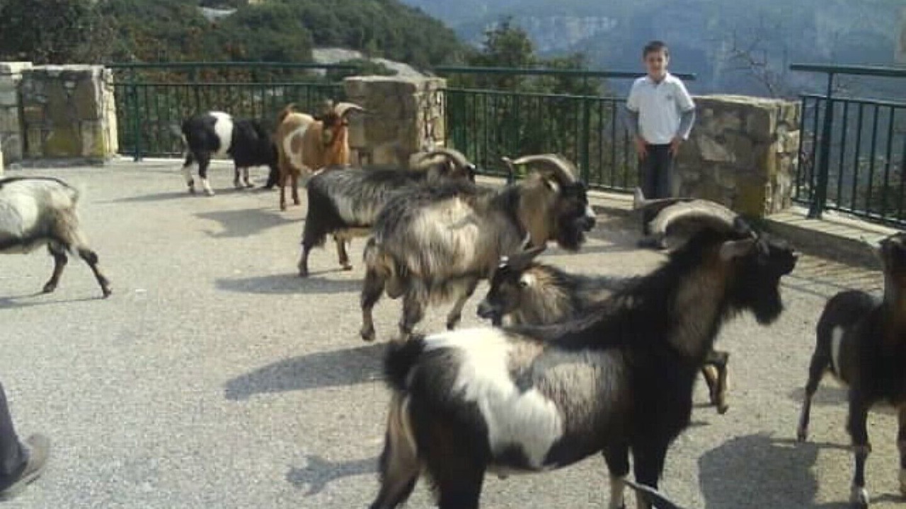 Photo of Outdoor in Bourg-Saint-Andeol