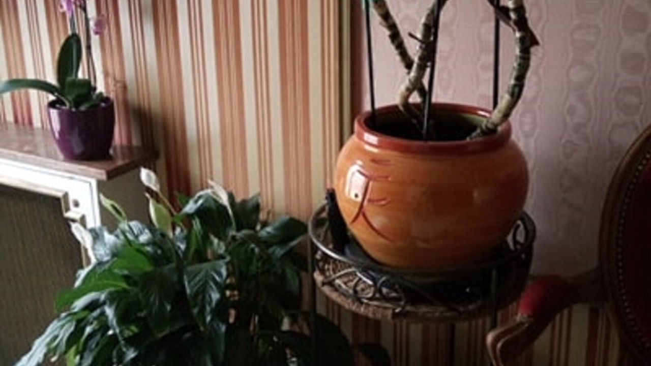 Photo of Others in Saint-Michel - Nansouty - Saint-Genes