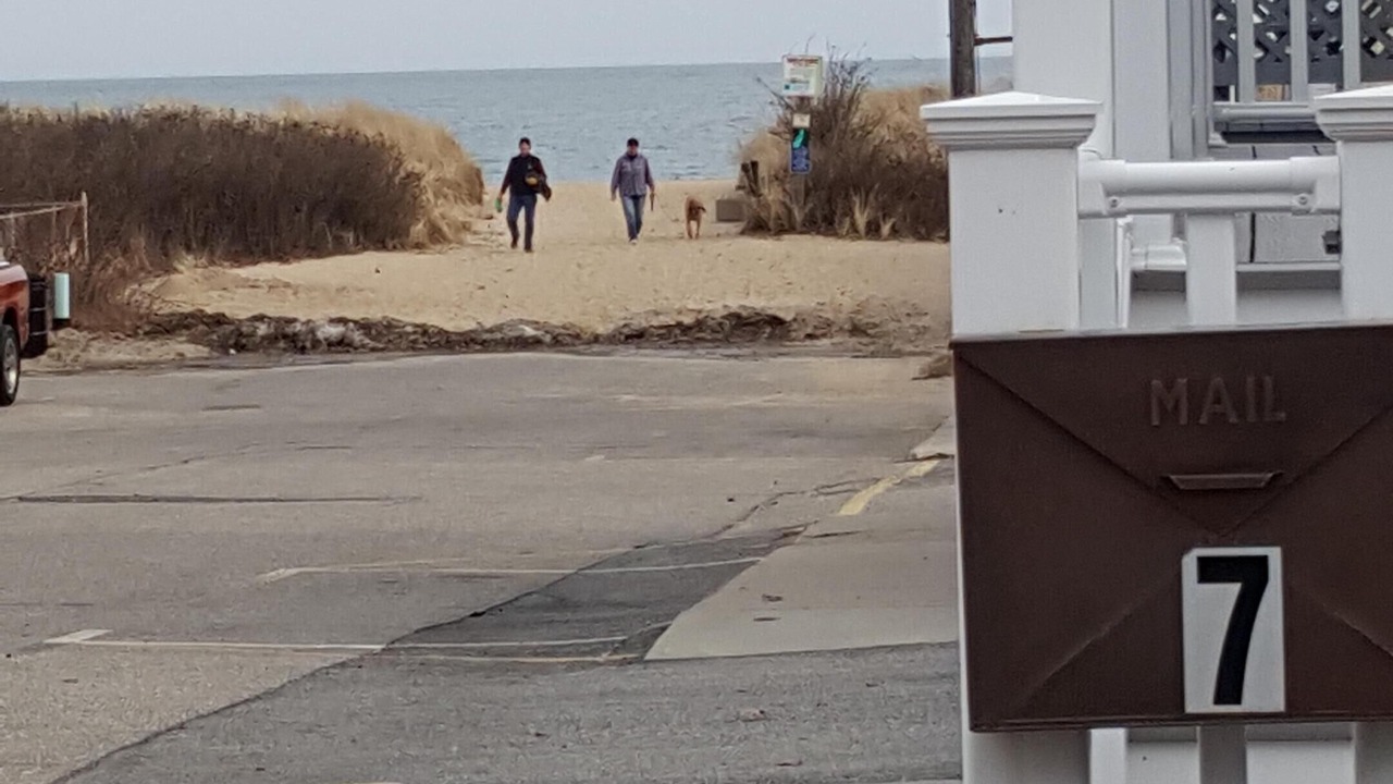 Photo of Others in Ocean Park