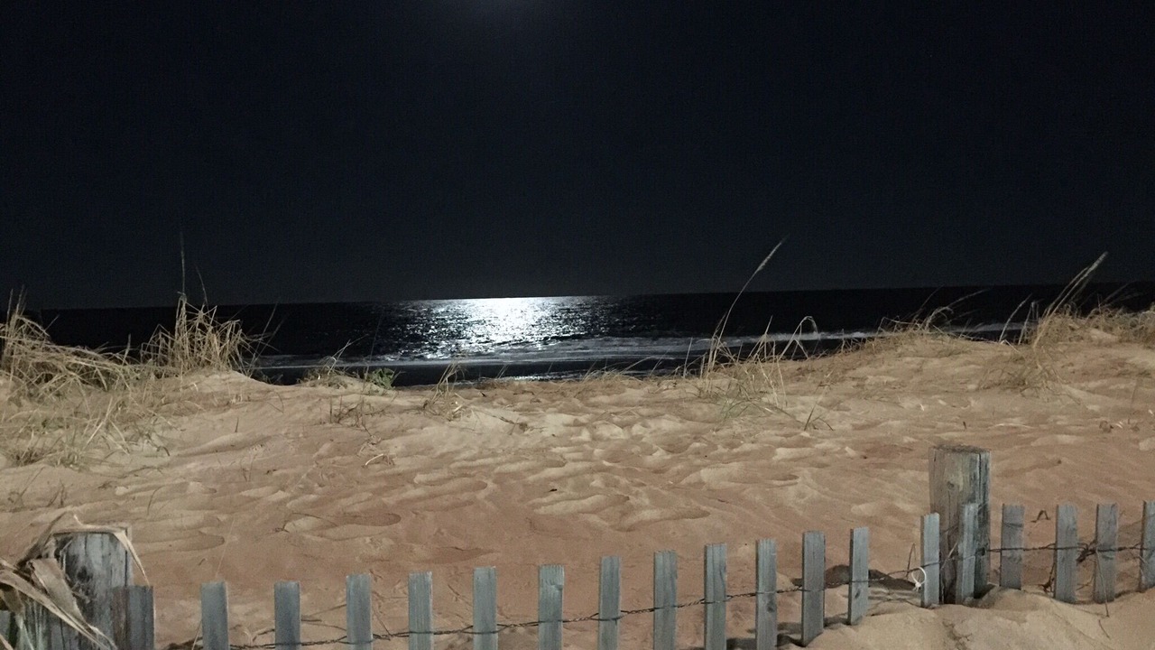 Photo of Others in South Rehoboth