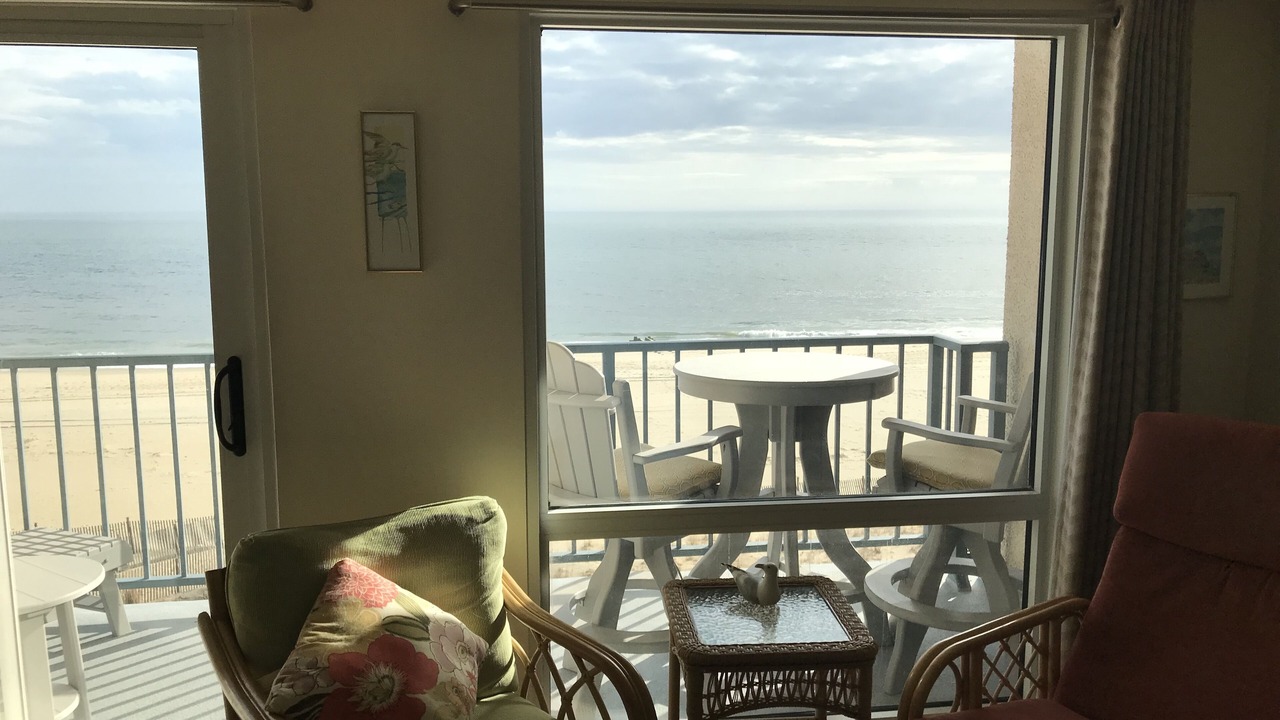 Photo of Others in South Rehoboth