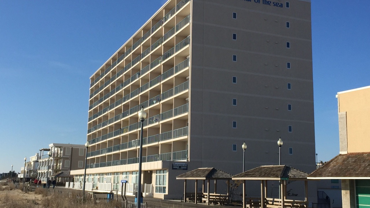 Photo of Outdoor in South Rehoboth