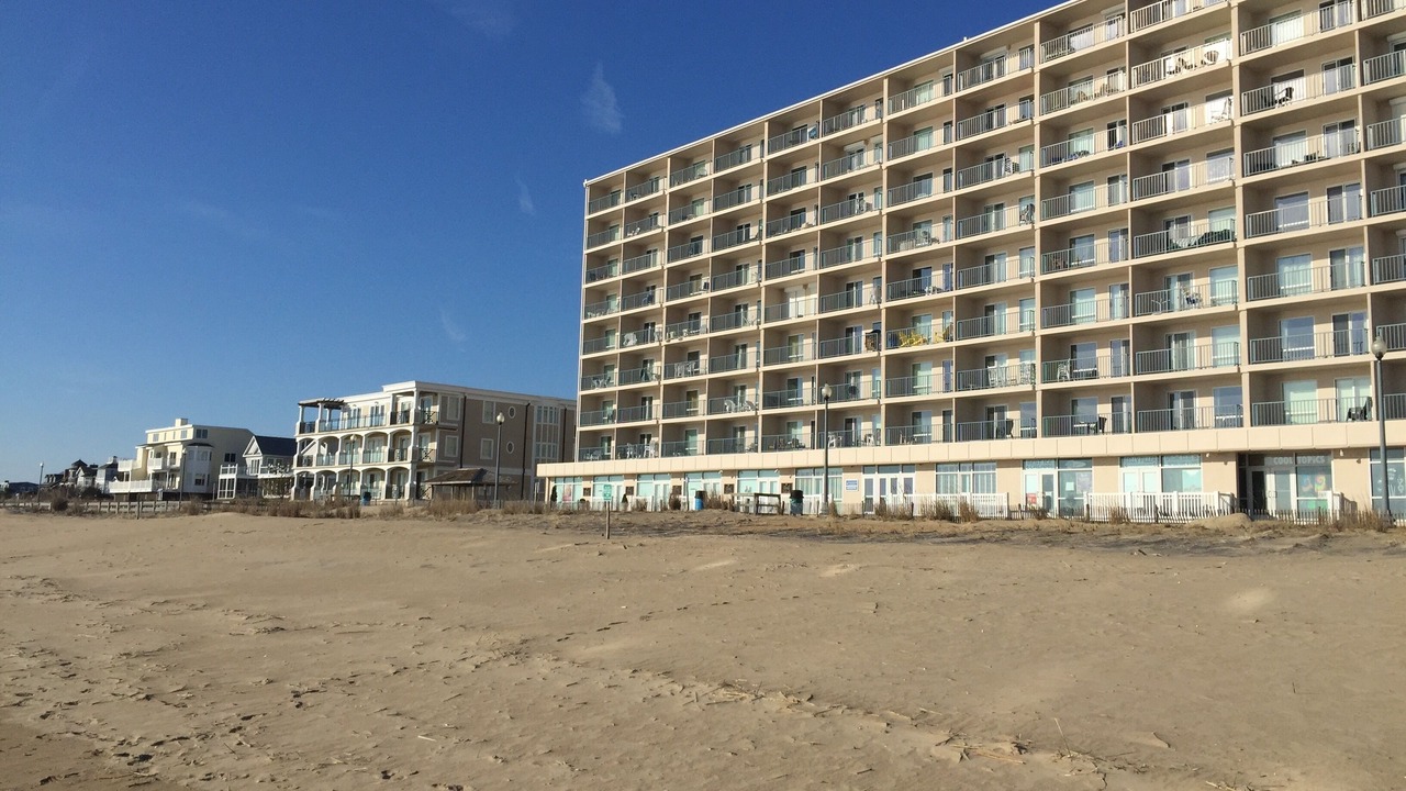 Photo of Others in South Rehoboth