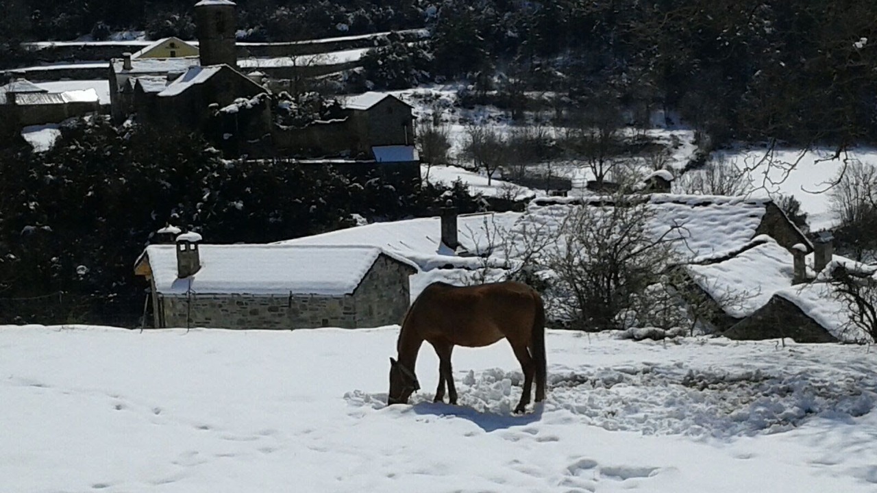 Photo of Outdoor in Buesa