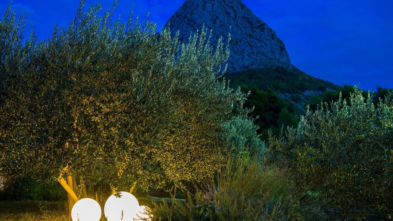 Photo of Others in Zaostrog
