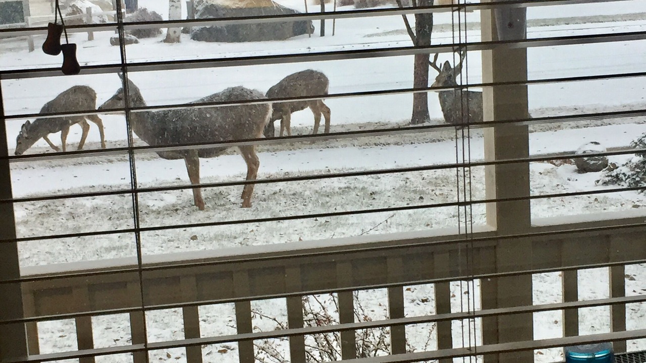 Photo of Others in Sisters