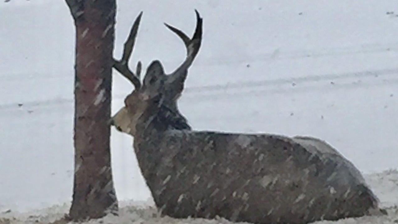 Photo of Outdoor in Sisters