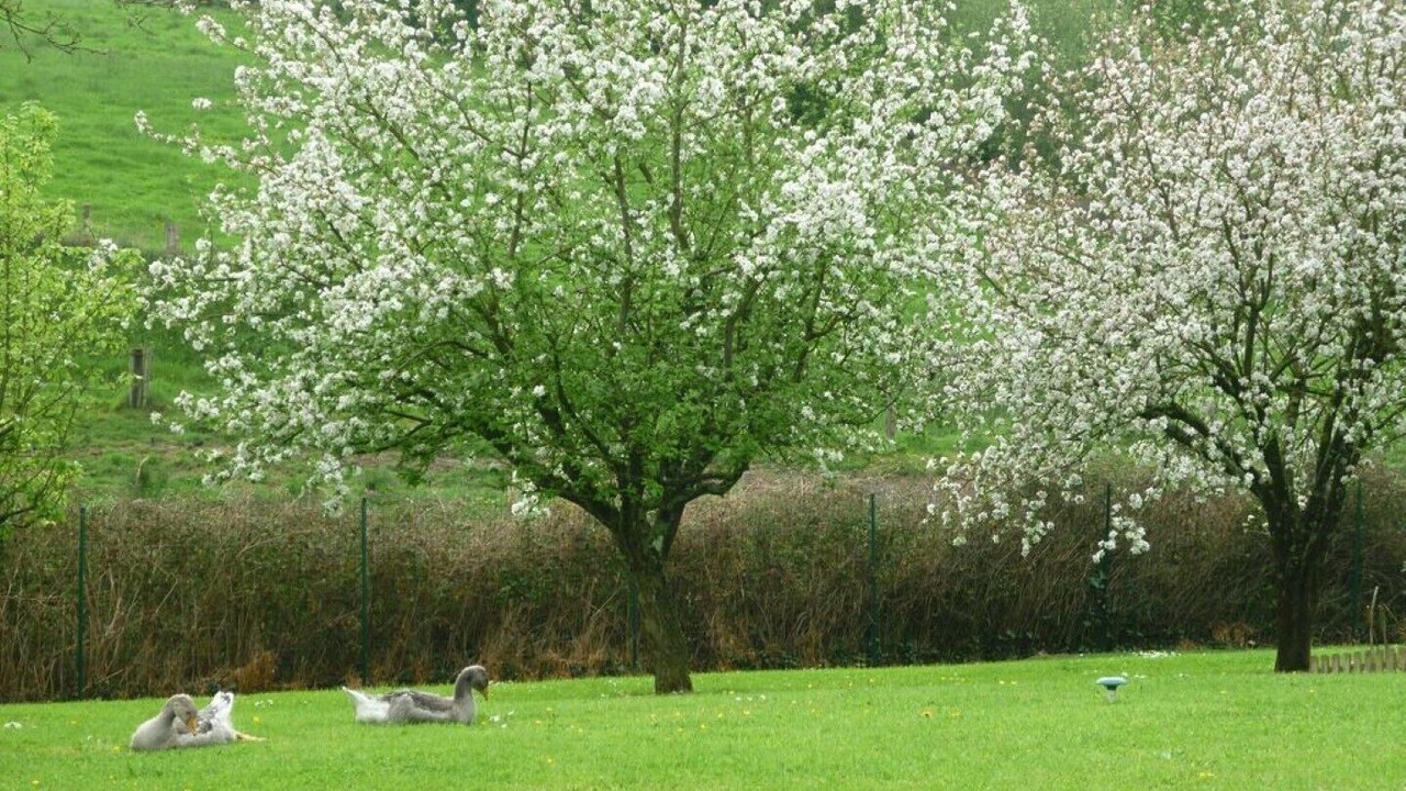 Photo of Outdoor in Gavray