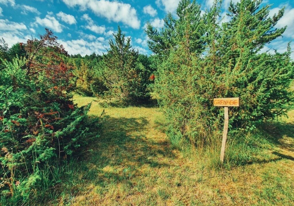 Photo of Outdoor in Engravies