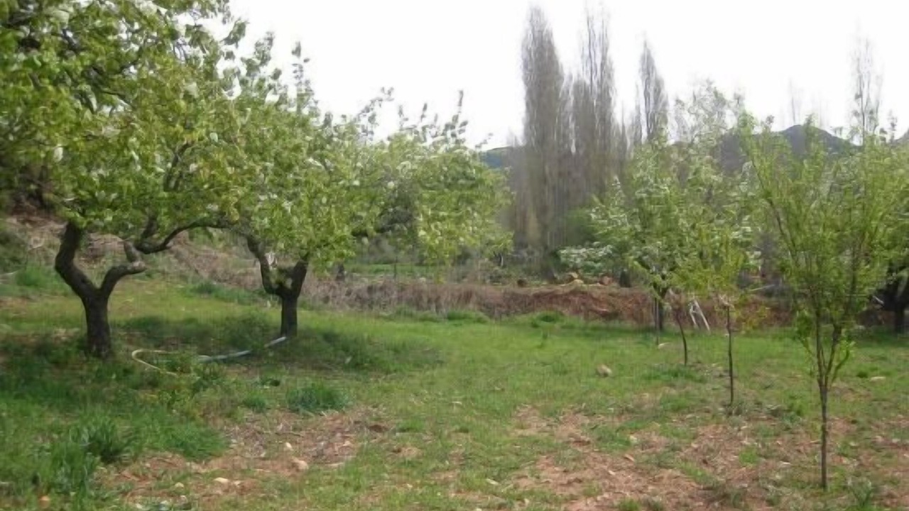 Photo of Outdoor in Bienservida