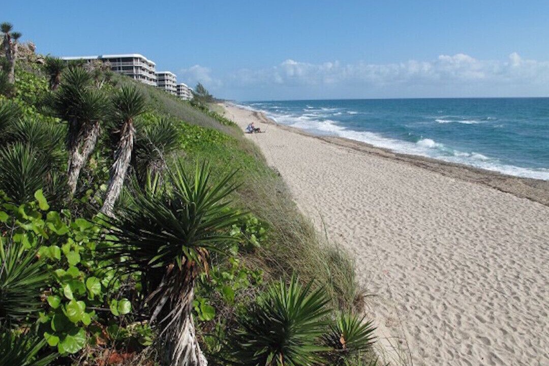 Photo of Outdoor in South Palm Park Neighborhood Association