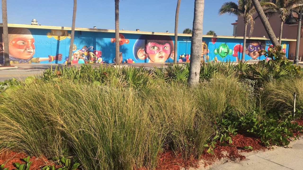 Photo of Outdoor in South Palm Park Neighborhood Association