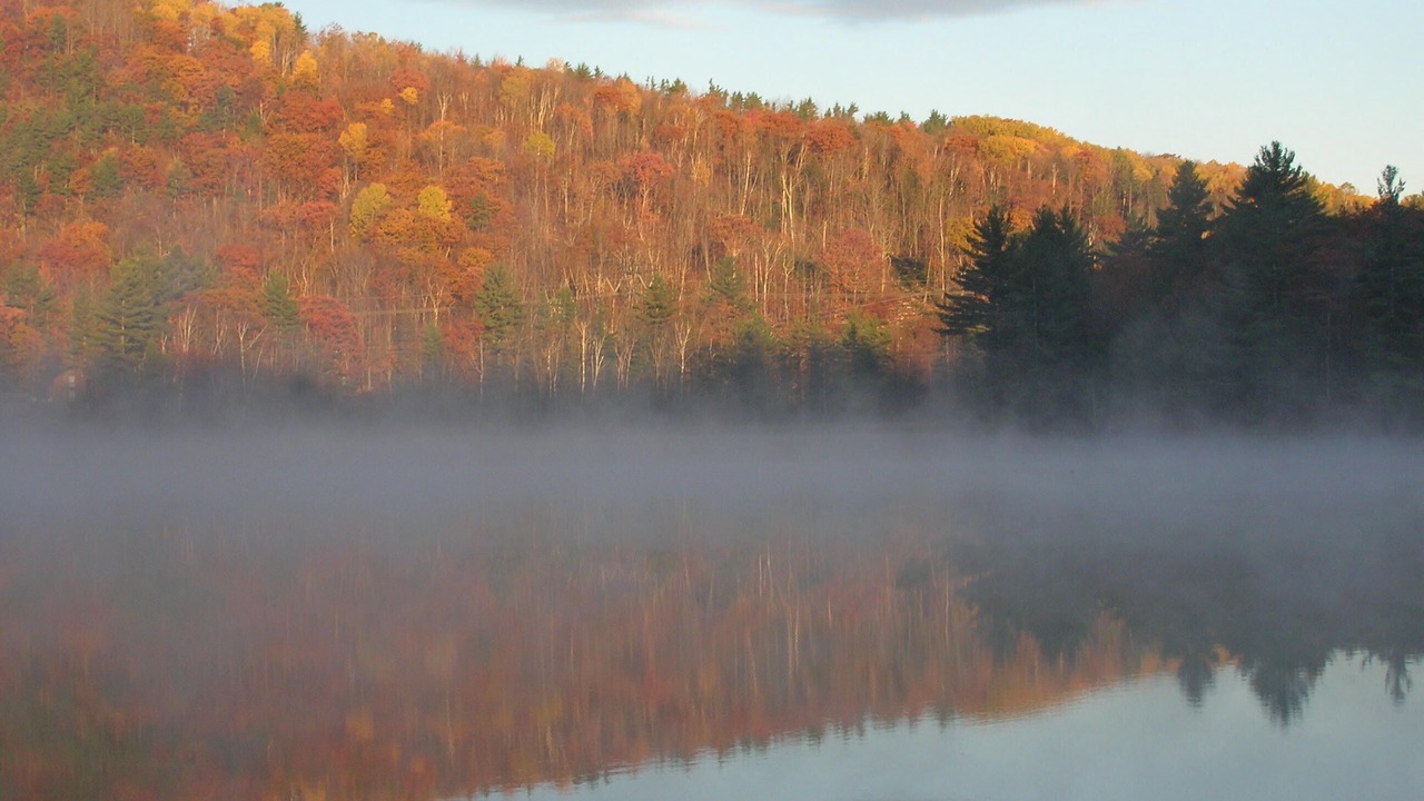 Photo of Others in Woodsville