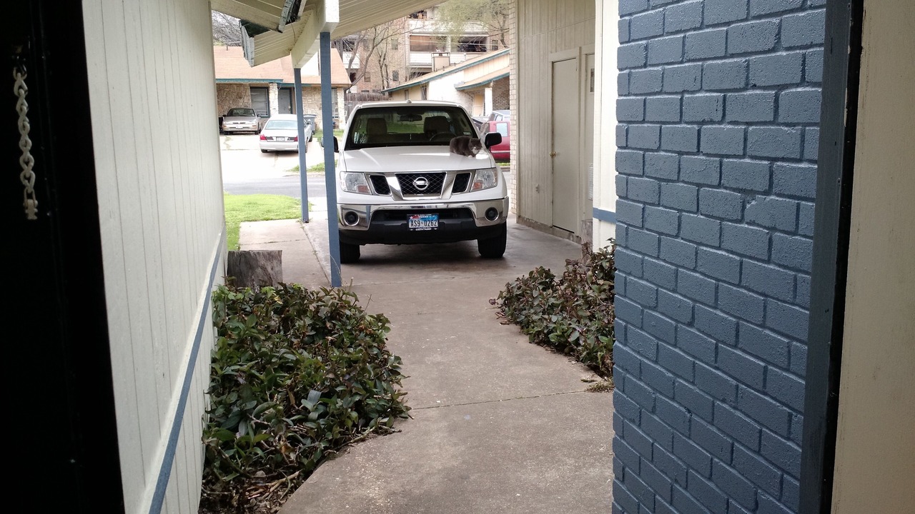 Photo of Outdoor in Parker Lane
