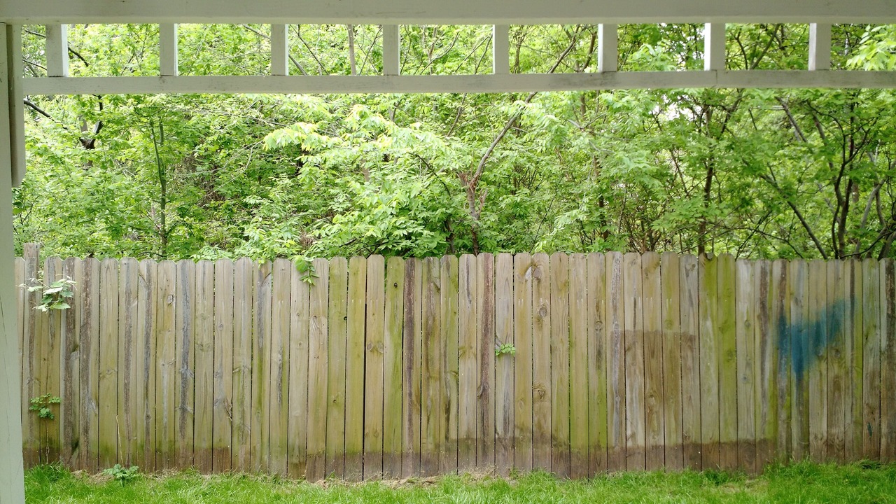 Photo of Outdoor in Parker Lane