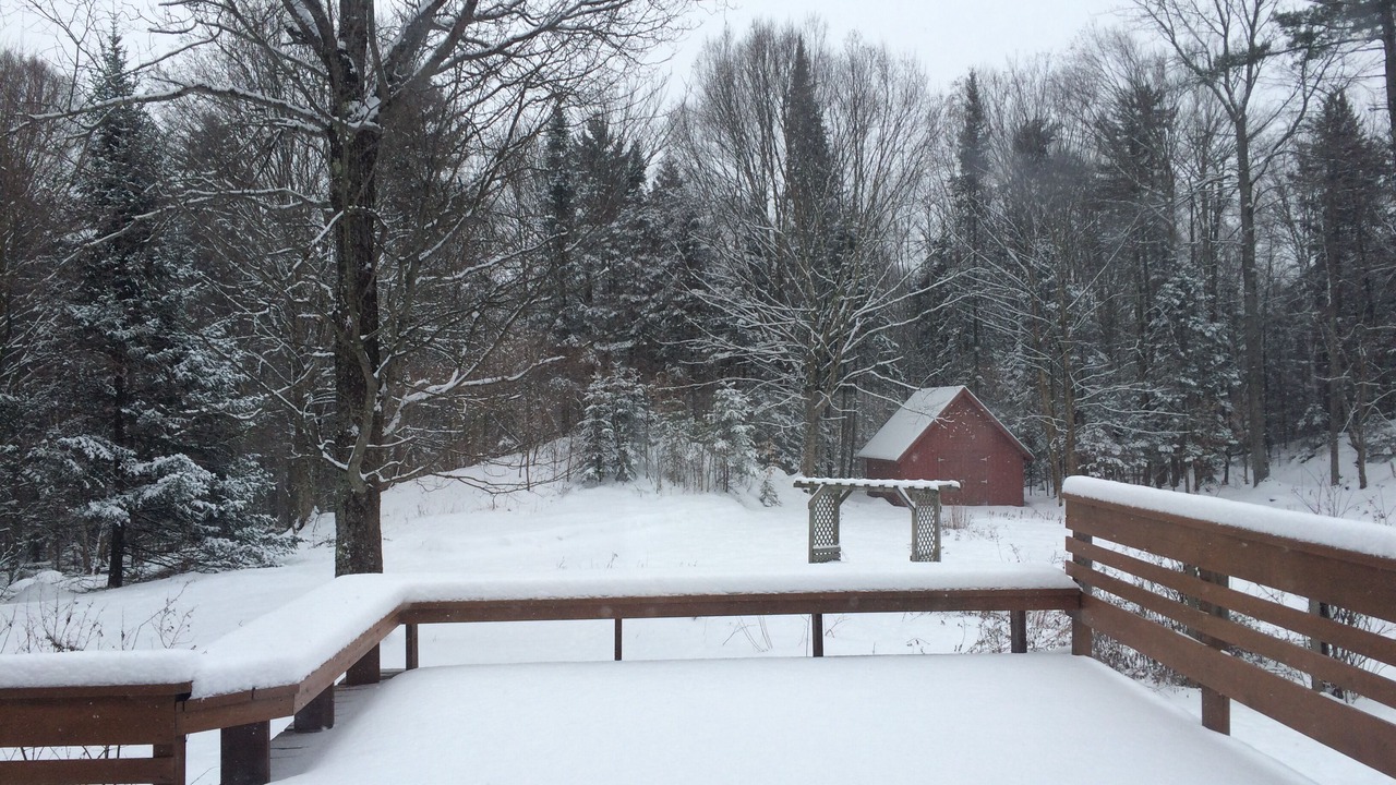 Photo of Outdoor in Morrisville