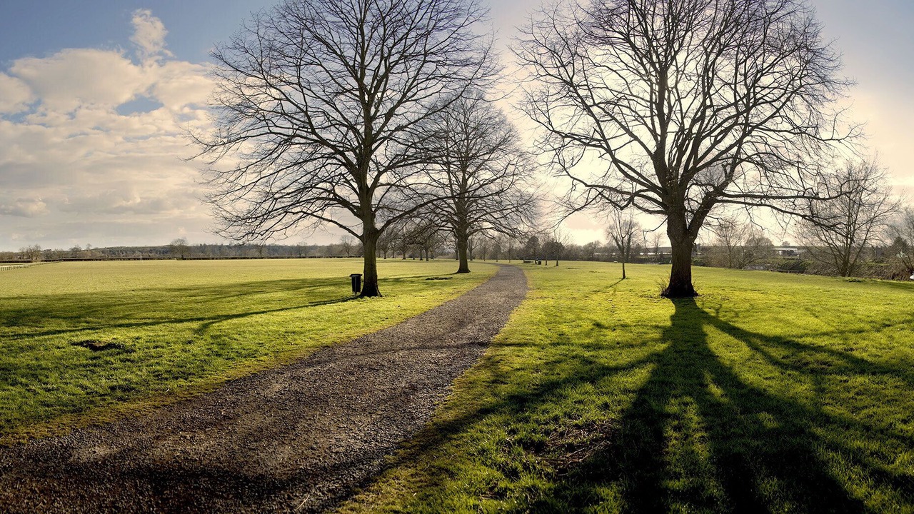 Photo of Others in Bidford-on-Avon