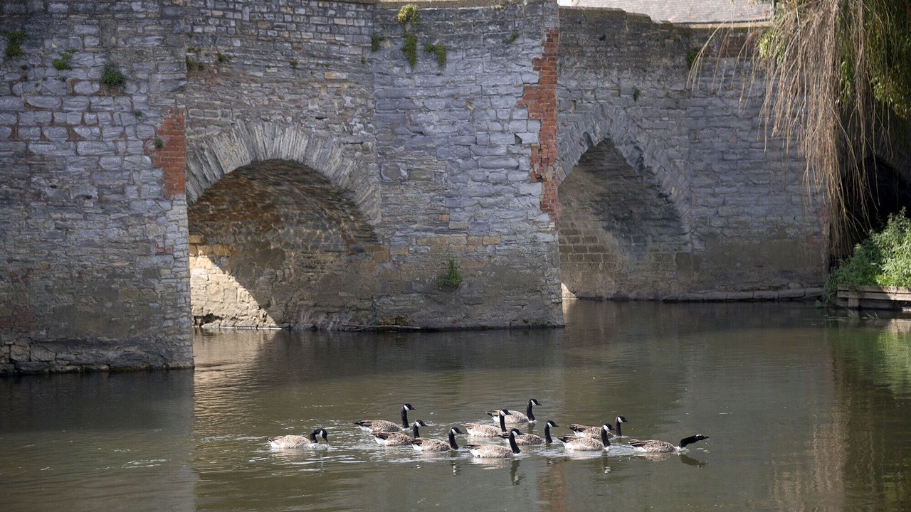 Photo of Others in Bidford-on-Avon