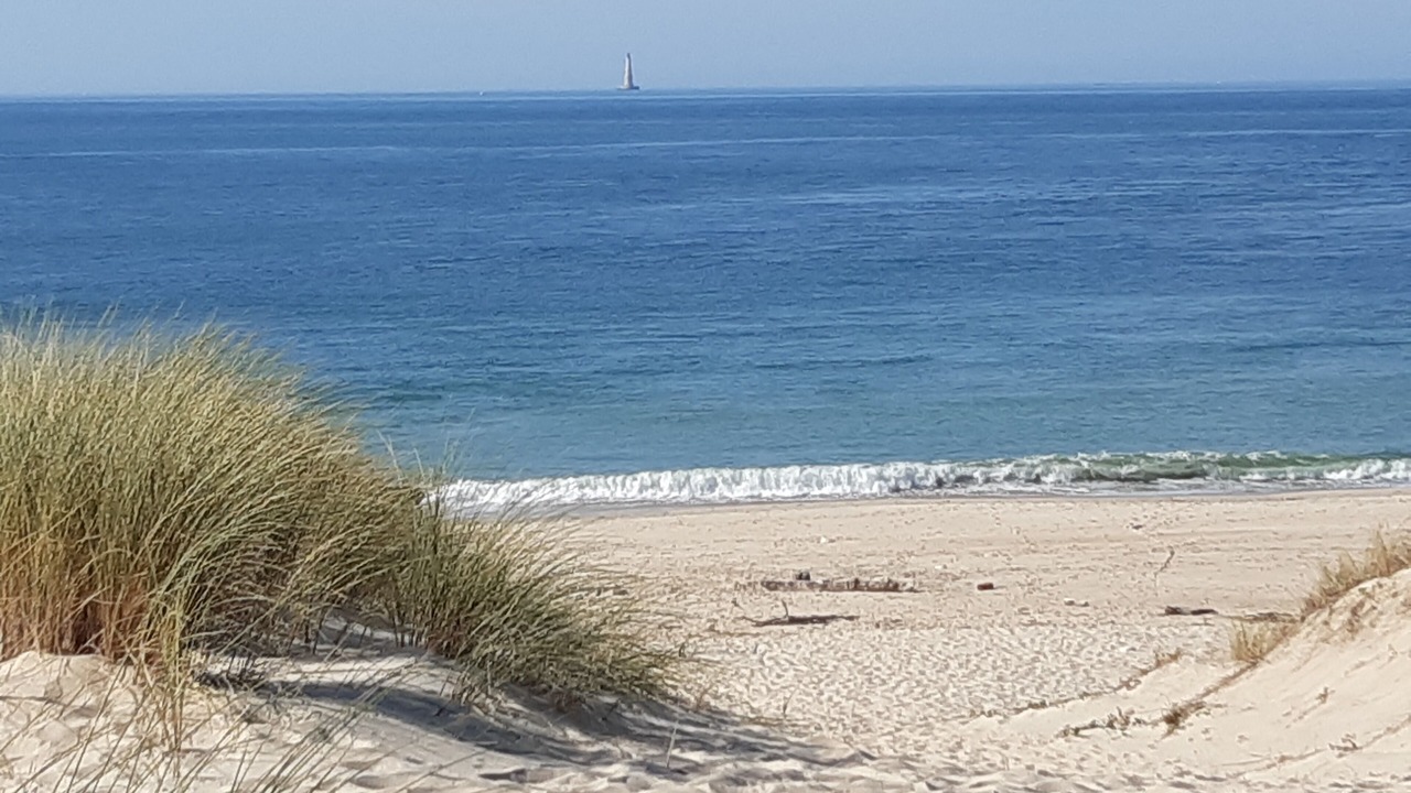 Photo of Others in Soulac-sur-Mer