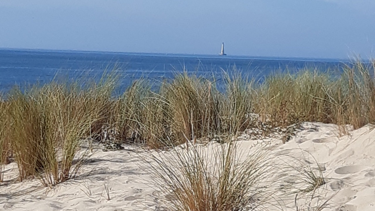Photo of Others in Soulac-sur-Mer