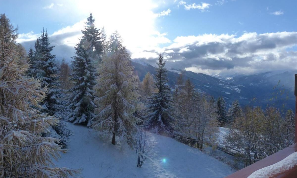Photo of Outdoor in Arc-1800