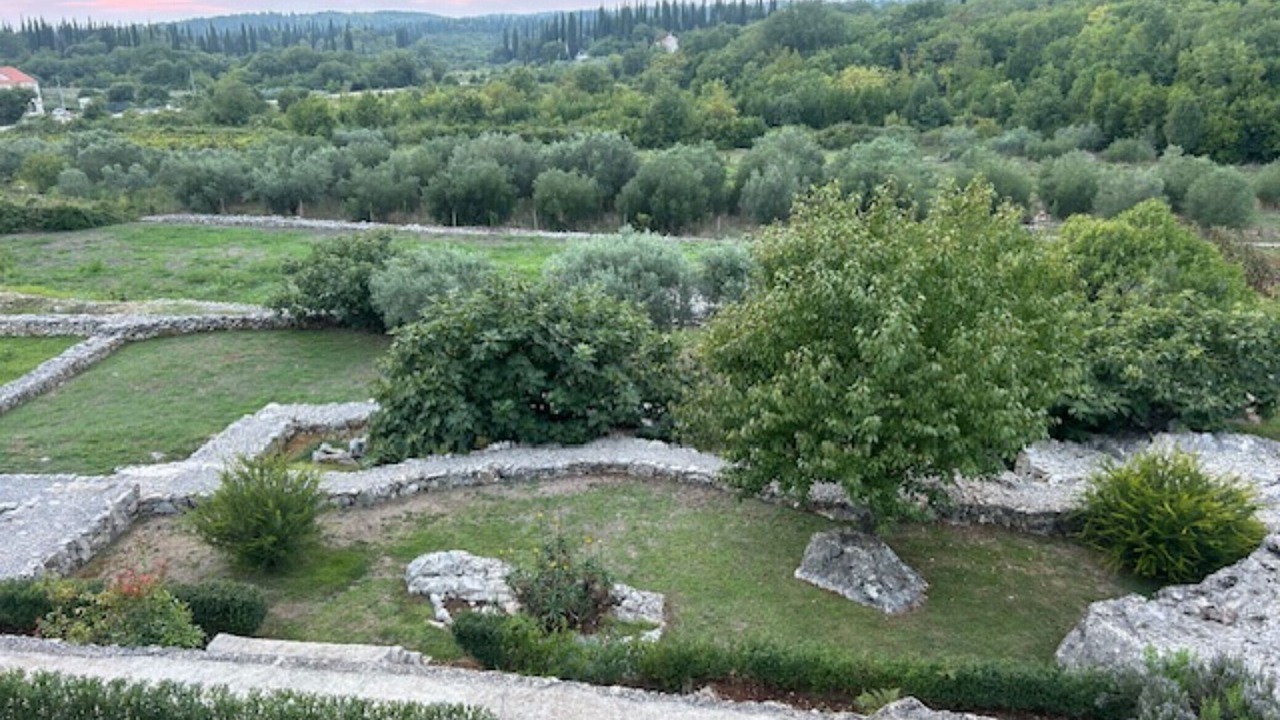 Photo of Others in Popovici