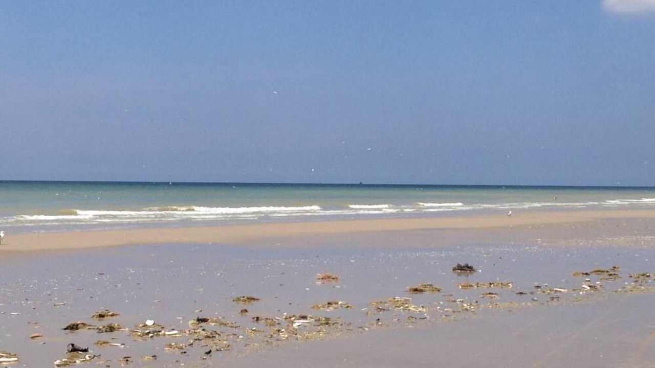 Photo of Others in Hardelot-Plage
