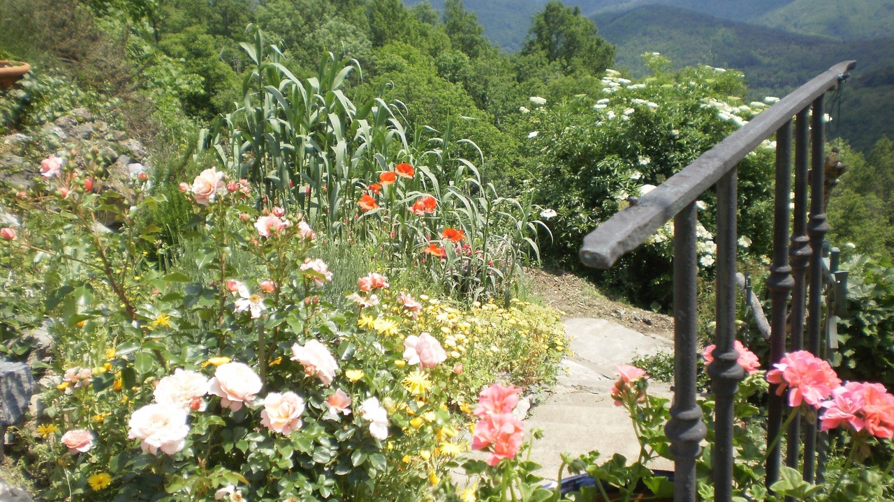 Photo of Outdoor in Arles-sur-Tech