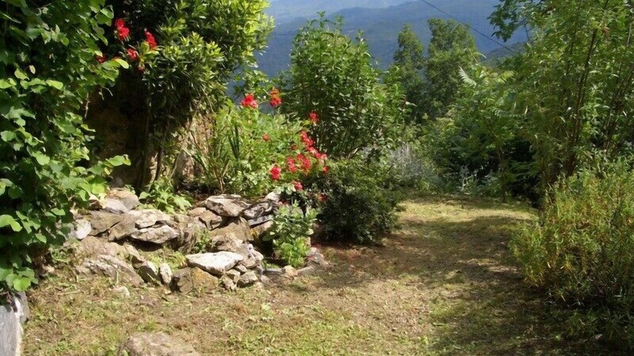 Photo of Outdoor in Arles-sur-Tech
