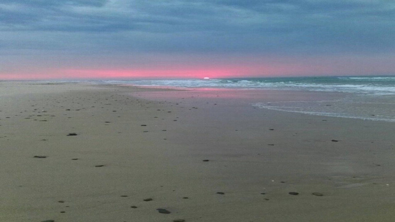 Photo of Others in Manning Point