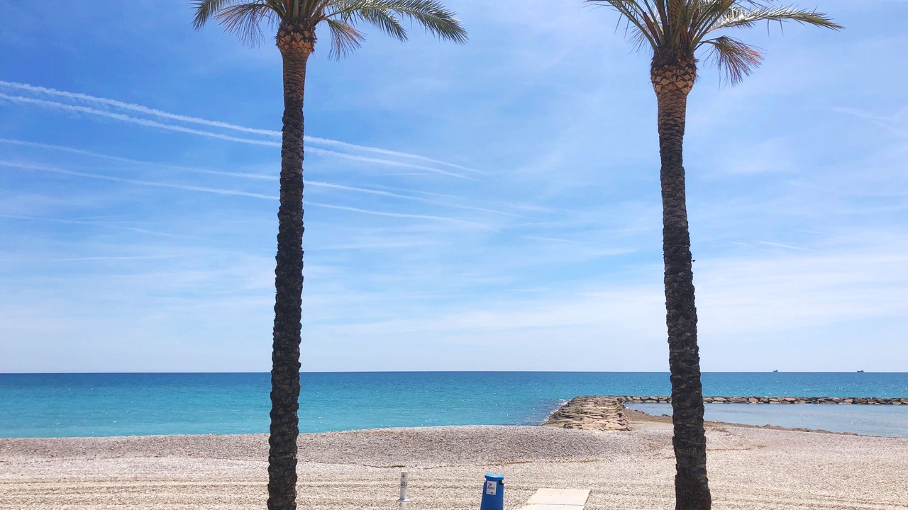 Photo of Others in Benicassim