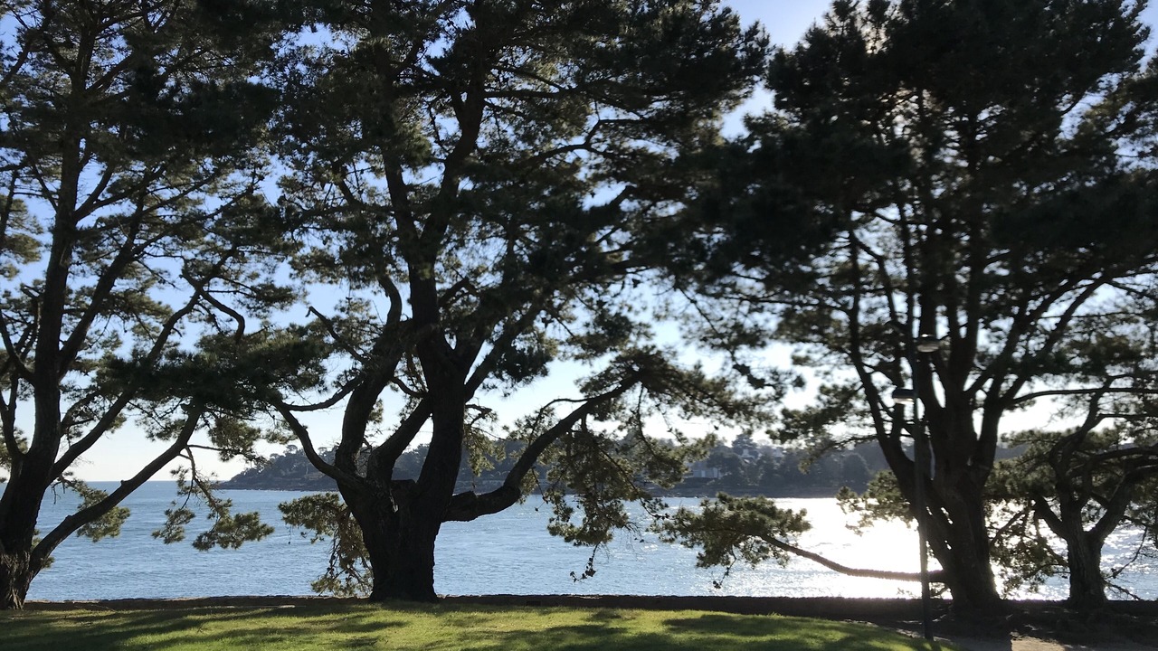 Photo of Others in Benodet