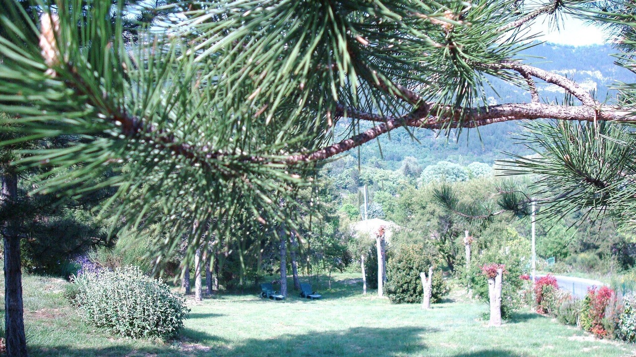 Photo of Outdoor in Saint-Etienne-de-Gourgas