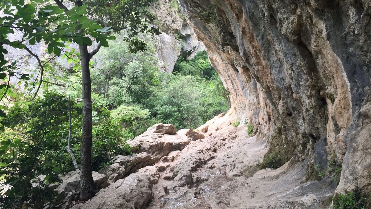 Photo of Outdoor in Saint-Etienne-de-Gourgas