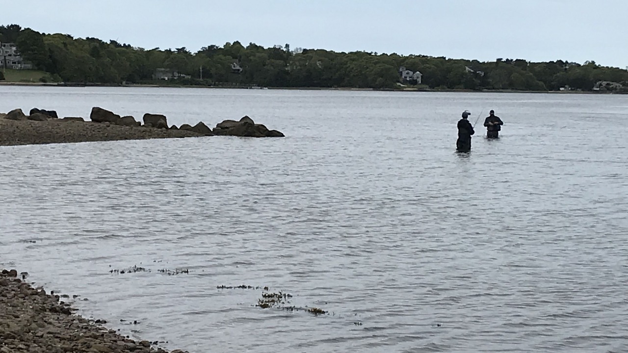 Photo of Others in Buzzards Bay