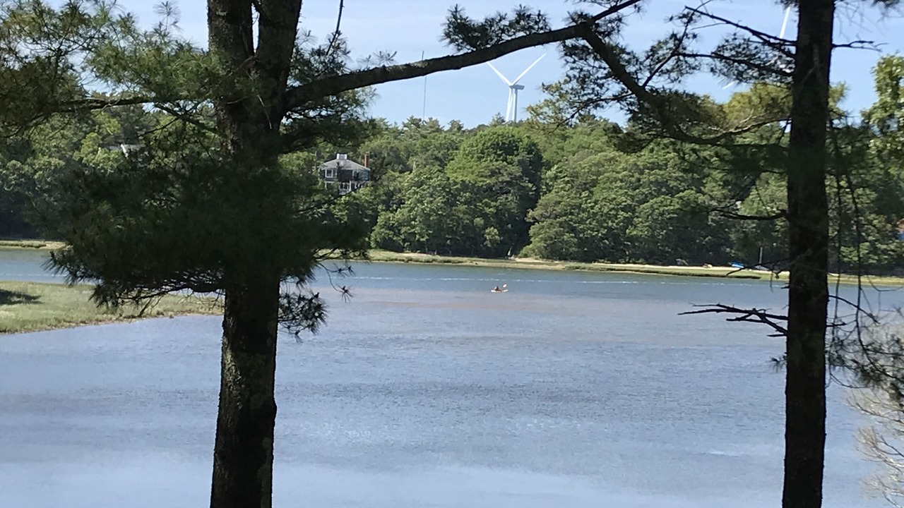 Photo of Others in Buzzards Bay