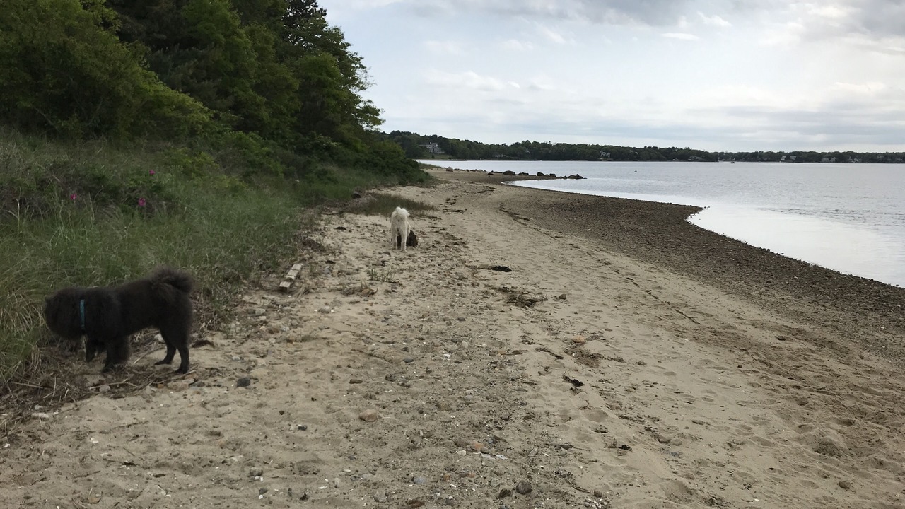 Photo of Others in Buzzards Bay