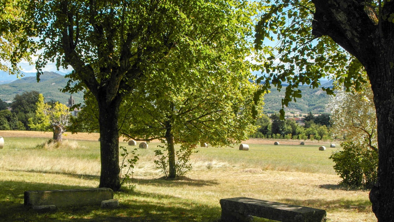 Photo of Outdoor in Cruis